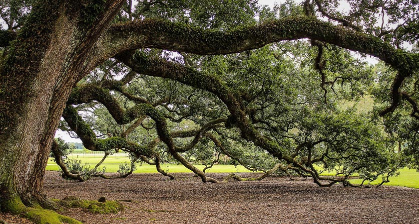 网站ddos隐藏源ip